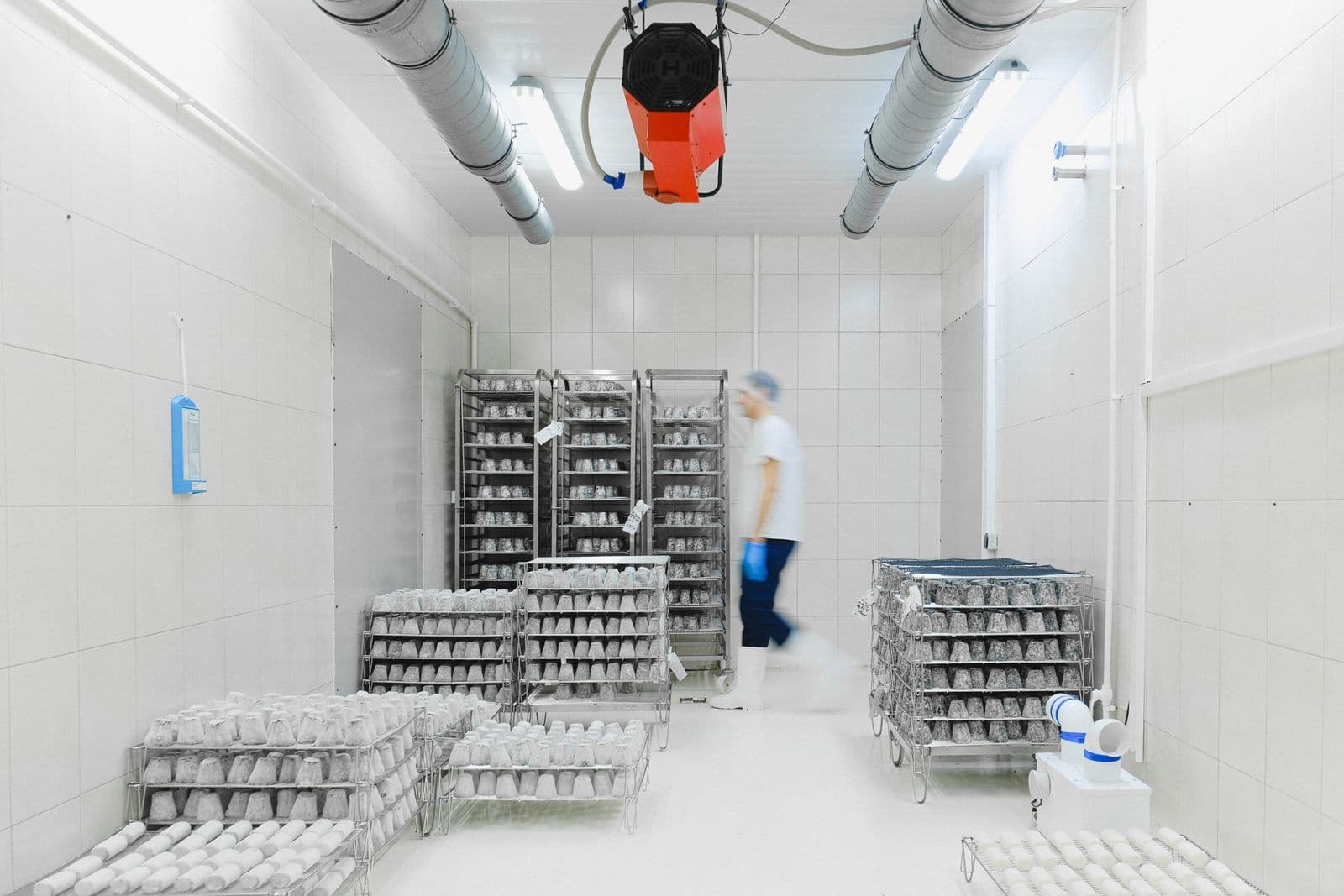 Cold storage room with shelves of perishable goods and a worker passing by