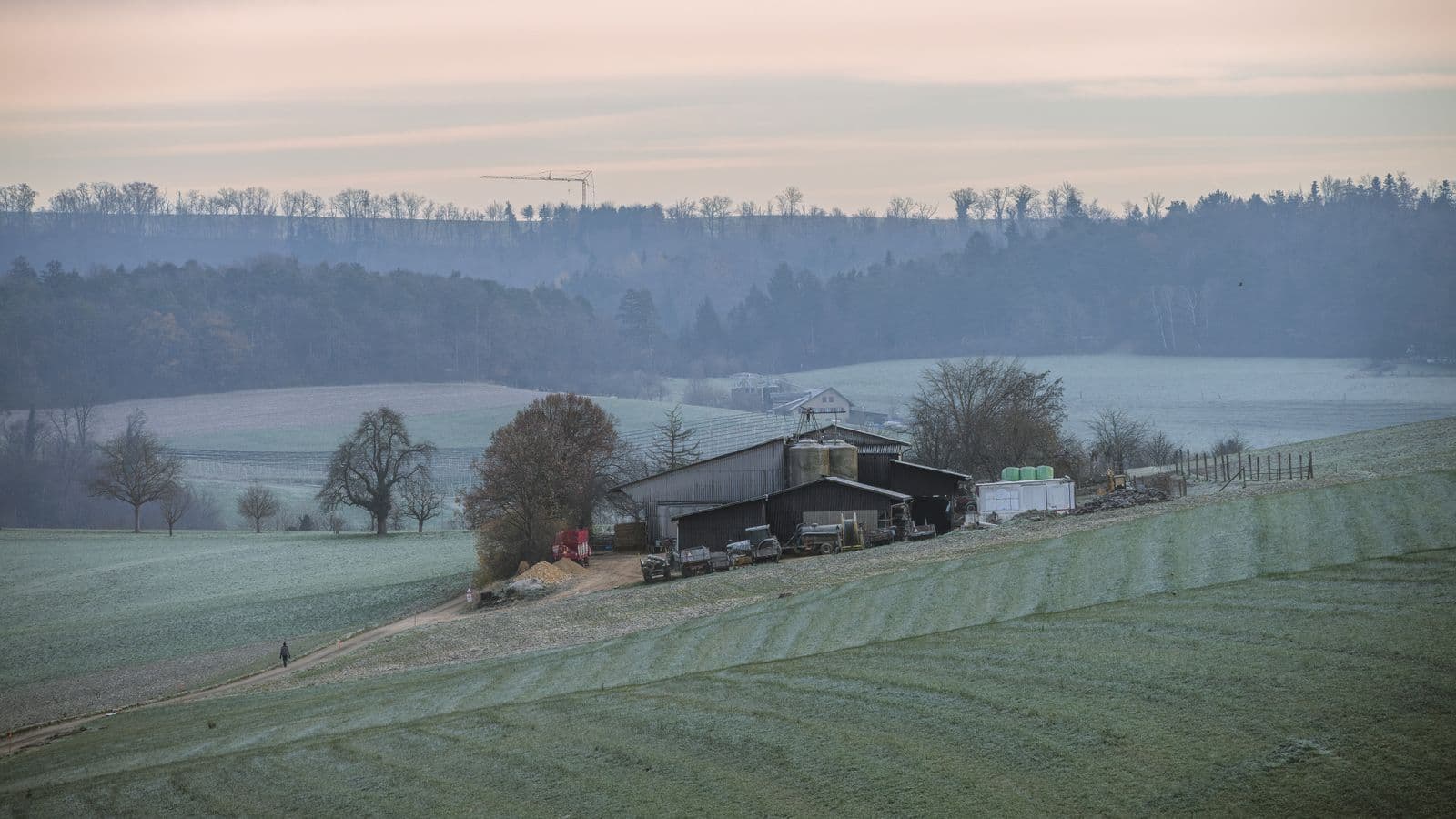 Frosty rural fields at sunrise with trees in the distance
