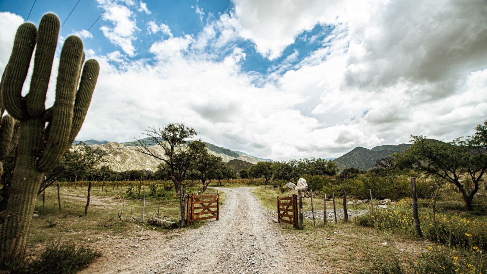 Dirt road through a mountain valley with a wooden gate